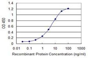 Detection limit for recombinant GST tagged ZBTB33 is 0. (ZBTB33 antibody  (AA 564-673))