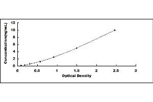 Typical standard curve (CASP14 ELISA Kit)