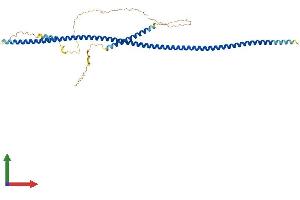 AlphaFold protein structure predicition of Human Recombinant TEX9 Protein, UniprotID Q8N6V9