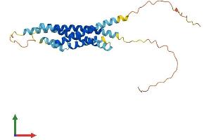 AlphaFold protein structure predicition of Human Recombinant MS4A6A Protein, UniprotID Q9H2W1 (MS4A6A Protein (AA 1-248) (His tag))