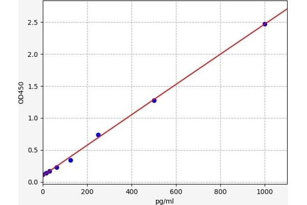 CALCB ELISA Kit