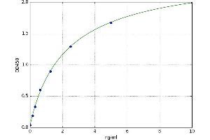 X-Box Binding Protein 1 (XBP1) ELISA Kit