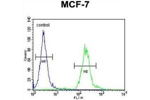 AVPI1 Antibody (N-term) flow cytometric analysis of MCF-7 cells (right histogram) compared to a negative control cell (left histogram). (AVPI1 antibody  (N-Term))