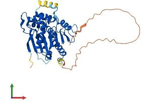 AlphaFold protein structure predicition of Human Recombinant NDRG4 Protein, UniprotID Q9ULP0 (NDRG4 Protein (AA 1-352) (His tag))