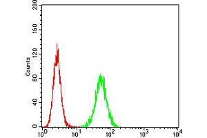 Flow cytometric analysis of Hela cells using HTR3A mouse mAb (green) and negative control (red). (Serotonin Receptor 3A antibody  (AA 24-157))
