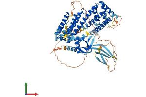 AlphaFold protein structure predicition of Mouse Recombinant Rfx8 Protein, UniprotID D3YU81 (RFX8 Protein (AA 1-596) (His tag))