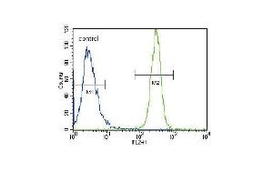 LYN Antibody (N-term) (ABIN392102 and ABIN2841856) flow cytometric analysis of Hela cells (right histogram) compared to a negative control (left histogram). (LYN antibody  (N-Term))