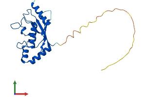 AlphaFold protein structure predicition of Human Recombinant UBE2T Protein, UniprotID Q9NPD8 (Ube2t Protein (AA 1-197) (His tag))