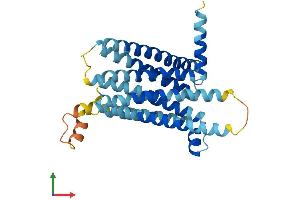 AlphaFold protein structure predicition of Mouse Recombinant Tas2r116 Protein, UniprotID Q7M713 (TAS2R116 Protein (AA 1-305) (His tag))