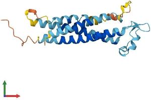 Protein Structure (PS) image for Transmembrane 4 Superfamily Member 4 (TM4SF4) (AA 1-202) protein (His tag) (ABIN7544221)