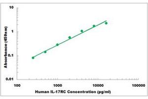 Representative Standard Curve (IL17RC ELISA Kit)