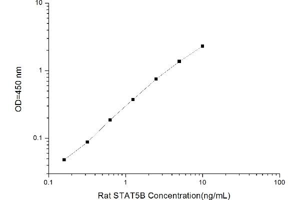 STAT5B ELISA Kit