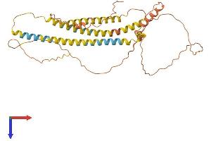 AlphaFold protein structure predicition of Human Recombinant NPIPA8 Protein, UniprotID P0DM63 (NPIPA8 Protein (AA 1-369) (His tag))
