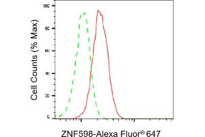 Flow cytometric analysis of ZNF598 expression in HeLa cells using ZNF598 antibody (ABIN7800899), 1:2,000). (ZNF598 antibody)