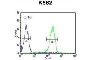 Flow cytometric analysis of K562 cells using RNF185 Antibody  (right histogram) compared to a negative control cell (left histogram). (RNF185 antibody  (Middle Region))