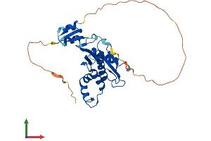 AlphaFold protein structure predicition of Human Recombinant RNASEH1 Protein, UniprotID O60930 (Ribonuclease H1 Protein (RNASEH1) (AA 1-286) (His tag))