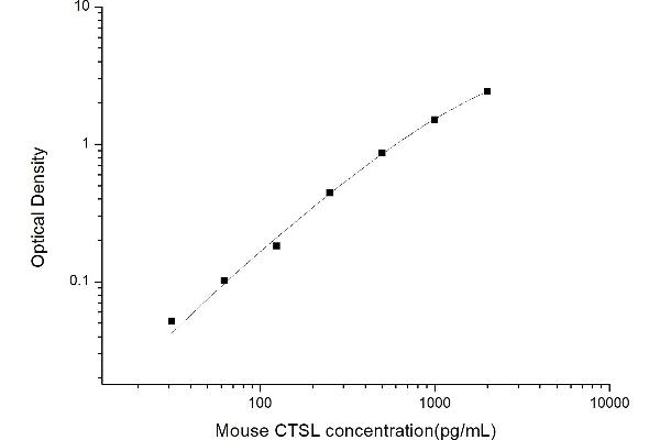 Cathepsin L ELISA Kit