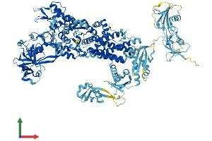 AlphaFold protein structure predicition of Mouse Recombinant Iars1 Protein, UniprotID Q8BU30 (IARS Protein (AA 1-1262) (His tag))