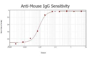 ELISA results of purified Goat anti-Mouse IgG Antibody Peroxidase Conjugated (Min x Human Serum Proteins) tested against purified Mouse IgG. (Goat anti-Mouse IgG (Heavy & Light Chain) Antibody (HRP) - Preadsorbed)