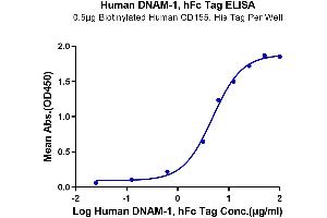 ELISA image for CD226 (CD226) (AA 19-247) protein (Fc Tag) (ABIN7274457)