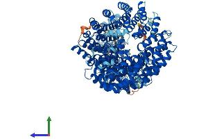 AlphaFold protein structure predicition of Human Recombinant IPO4 Protein, UniprotID Q8TEX9