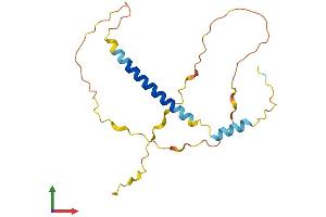 Protein Structure (PS) image for BCL2 Binding Component 3 (BBC3) (AA 1-193) protein (His tag) (ABIN7560411)