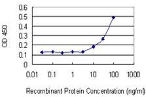 Detection limit for recombinant GST tagged RAB13 is 3 ng/ml as a capture antibody. (RAB13 antibody  (AA 1-203))