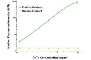 Luminex Assay (LMNX) image for anti-V-Akt Murine Thymoma Viral Oncogene Homolog 1 (AKT1) antibody (ABIN2715845)