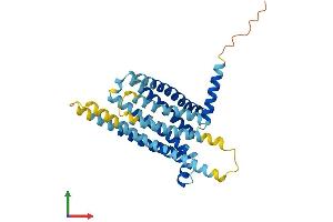 AlphaFold protein structure predicition of Human Recombinant TAS2R14 Protein, UniprotID Q9NYV8