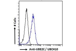 ABIN184805 Flow cytometric analysis of paraformaldehyde fixed HeLa cells (blue line), permeabilized with 0. (UBE2C antibody  (C-Term))