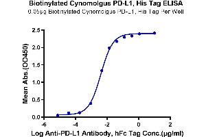 Immobilized Biotinylated Cynomolgus PD-L1, His Tag at 0. (PD-L1 Protein (AA 19-238) (His tag,Biotin))