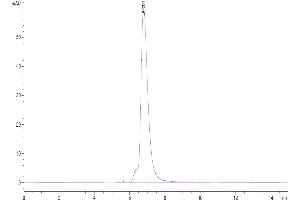 The purity of Biotinylated Human IL-6 R alpha is greater than 95 % as determined by SEC-HPLC.