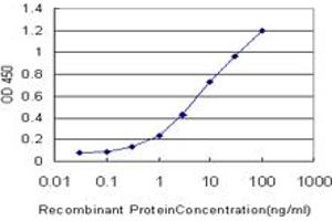 Detection limit for recombinant GST tagged KLK6 is approximately 0. (Kallikrein 6 antibody  (AA 91-190))