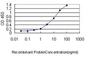 Detection limit for recombinant GST tagged NME2 is approximately 0. (NME2 antibody  (AA 1-152))