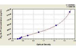 Typical Standard Curve (GLP-1 ELISA Kit)