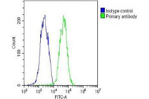Overlay histogram showing HepG2 cells stained with C (green line).