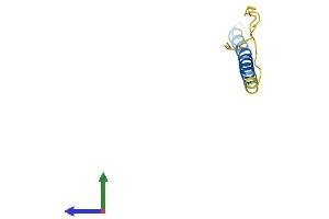 AlphaFold protein structure predicition of Mouse Recombinant Adig Protein, UniprotID Q8R400 (ADIG Protein (AA 1-80) (Fc Tag))