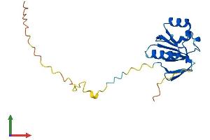 Protein Structure (PS) image for NADH Dehydrogenase (Ubiquinone) Complex I, Assembly Factor 3 (NDUFAF3) (AA 1-184) protein (His tag) (ABIN7549693)
