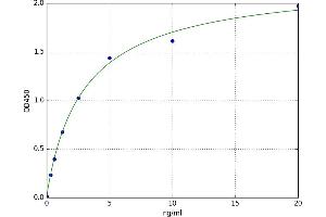 Heat Shock 70kDa Protein 8 (HSPA8) ELISA Kit