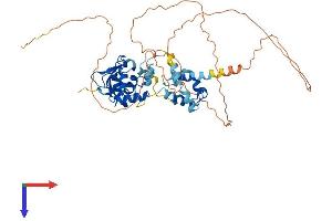 ETS2 Protein (AA 1-468) (His tag)