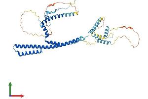 Protein Structure (PS) image for Transcriptional Adaptor 3 (TADA3) (AA 1-432) protein (His tag) (ABIN7559637)