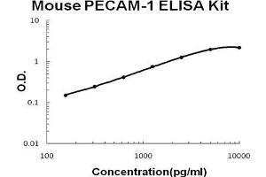 Mouse PECAM-1/CD31 PicoKine ELISA Kit standard curve