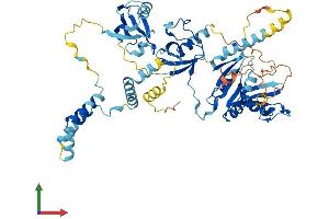 AlphaFold protein structure predicition of Mouse Recombinant Mpp3 Protein, UniprotID O88910 (MPP3 Protein (AA 1-568) (His tag))