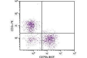 BALB/c mouse splenocytes were stained with Hamster Anti-Mouse CD79b-BIOT. (CD79b antibody  (Biotin))