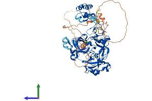 AlphaFold protein structure predicition of Mouse Recombinant L3mbtl4 Protein, UniprotID B1B1A0