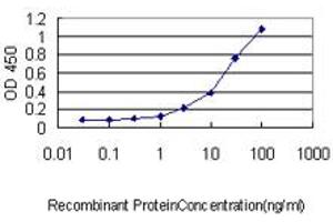 Detection limit for recombinant GST tagged UBL3 is approximately 1ng/ml as a capture antibody. (UBL3 antibody  (AA 1-117))