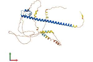 AlphaFold protein structure predicition of Mouse Recombinant Maf Protein, UniprotID P54843 (MAF Protein (AA 1-370) (His tag))