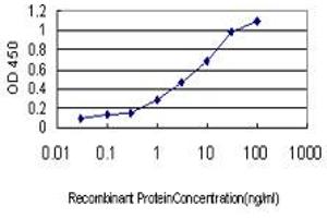 ELISA image for anti-Protoporphyrinogen Oxidase (PPOX) (AA 378-478) antibody (ABIN598883) (PPOX antibody  (AA 378-478))