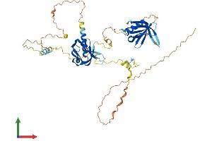 AlphaFold protein structure predicition of Human Recombinant DOK1 Protein, UniprotID Q99704 (DOK1 Protein (AA 1-481) (His tag))
