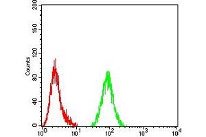 Flow cytometric analysis of Hela cells using TET2 mouse mAb (green) and negative control (red). (TET2 antibody)